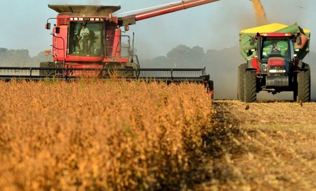 El agro argentino generó el 92 % de las divisas netas en los últimos cinco años