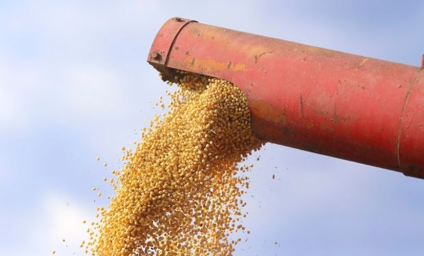 Cuál es la apuesta de los fondos para el precio de la soja, el trigo y el maíz