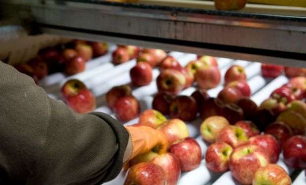 Agroindustria entrega $70 millones a productores de peras y manzanas de Neuquén.