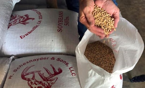 Cuál es la apuesta de los fondos especulativos para los precios de la soja y el maíz