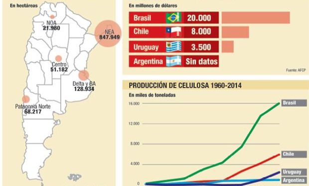 El balance de estos últimos años entre lo que se tala y lo que se repone es negativo.