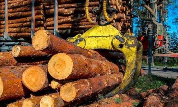 En el marco de Expoagro en La Rural de Corrientes, se realizará el Seminario: El estimulante desafío para las carnes.