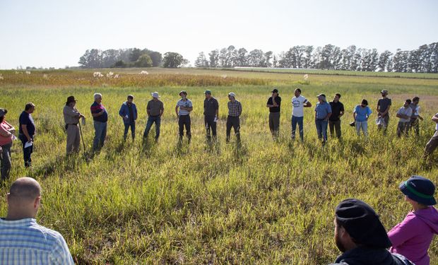 Se realiza hoy el primer Foro Nacional de Periodismo Agropecuario