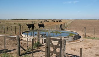 Santa Fe lanzó créditos de 500 mil pesos a tasa cero para la ganadería tras el impacto de la sequía y las heladas