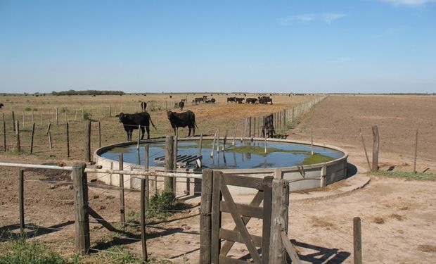 Santa Fe lanzó créditos de 500 mil pesos a tasa cero para la ganadería tras el impacto de la sequía y las heladas