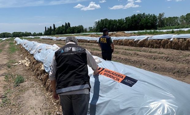 Ni el ajo se salva: la AFIP incautó 891 toneladas de esa hortaliza durante un operativo junto a la Policia Federal