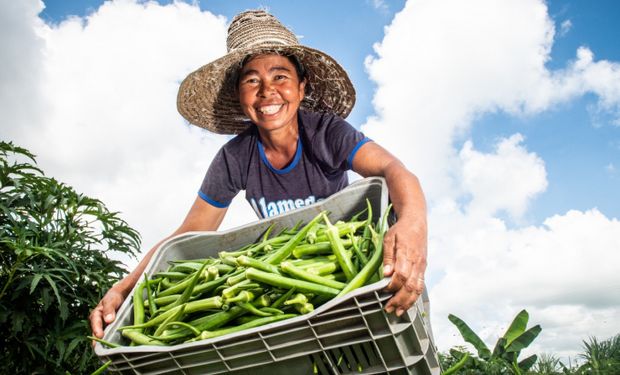 Bahia terá US$ 150 milhões para impulsionar a agricultura familiar