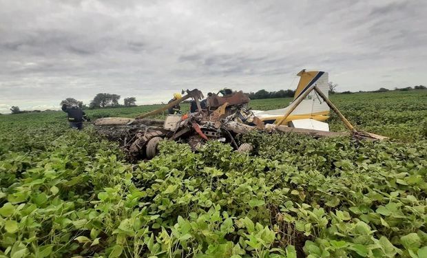 Lo salvó su experiencia: un piloto se estrelló en un campo y evitó una tragedia