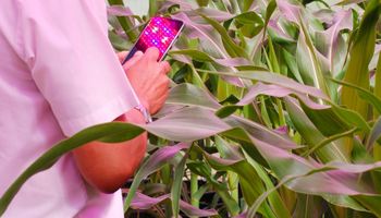 Embrapa e Fapesp se unem para levar agricultura digital aos pequenos e médios produtores
