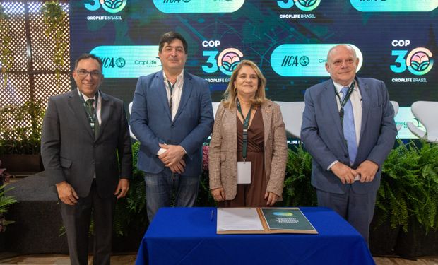 COP30: CropLife Brasil promove workshop técnico sobre recuperação de pastagens degradadas
