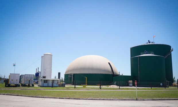 Aumentan el biodiésel y el bioetanol tras aplicarse la fórmula de precios