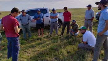 Lograron incrementos de hasta 800 kg en soja y 4000 kg en maíz con estos cultivos sustentables como antecesores