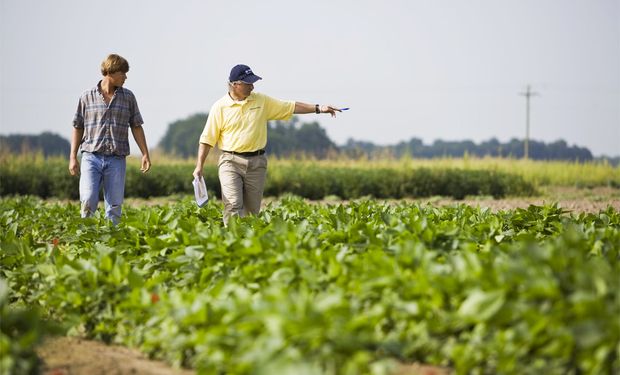 Nueva carrera de Agronomía en la Facultad de Agronomía y Veterinaria en Cañuelas.