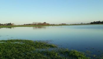 Las lluvias dejaron al 83 % de la zona núcleo con suelos saturados y la campaña está en riesgo: cuáles son las áreas más vulnerables