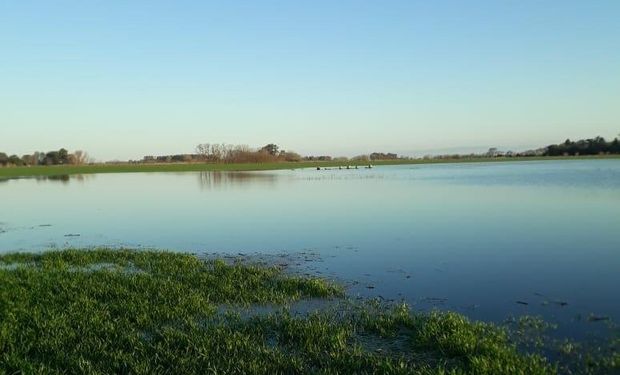 Las lluvias dejaron al 83 % de la zona núcleo con suelos saturados y la campaña está en riesgo: cuáles son las áreas más vulnerables