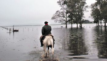 Bienestar mental del productor: cinco consejos para afrontar la crisis de las inundaciones en el campo