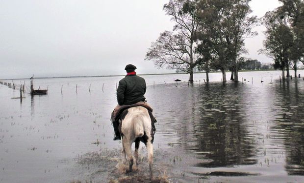 Bienestar mental del productor: cinco consejos para afrontar la crisis de las inundaciones en el campo