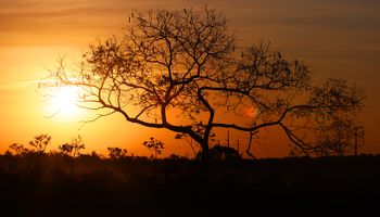 Alerta vermelho: Centro-Sul enfrenta onda de calor de 40°C, mas frente fria está a caminho