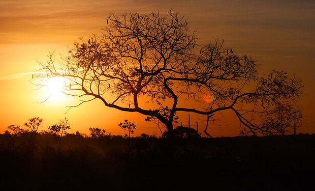 Classificação de alerta vermelho indica grande perigo e riscos à saúde. (Foto - Mateus Pereira)