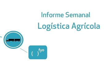 Más avances en el ingreso de camiones a los puertos