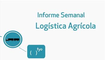 Mayor ingreso de camiones de maíz