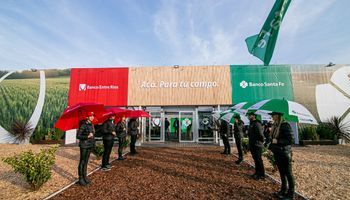 "Tasas muy competitivas": expectativa por las opciones de financiamiento de Agroactiva