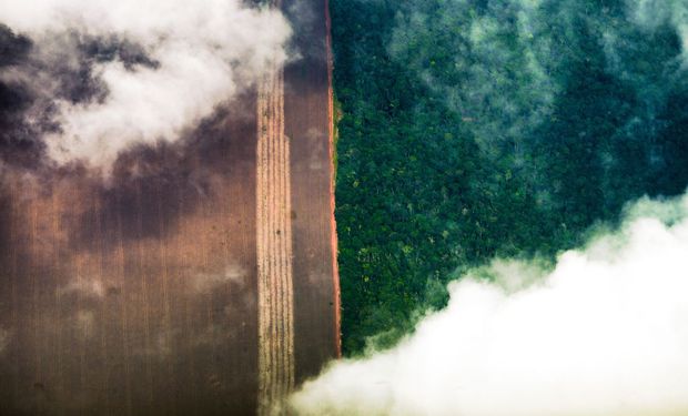 Instituição aponta que o desmatamento coloca em risco o valor da floresta em pé no Brasil, estimado em mais de 317 bilhões de dólares por ano. (foto - Marcelo Camargo/Agência Brasil)