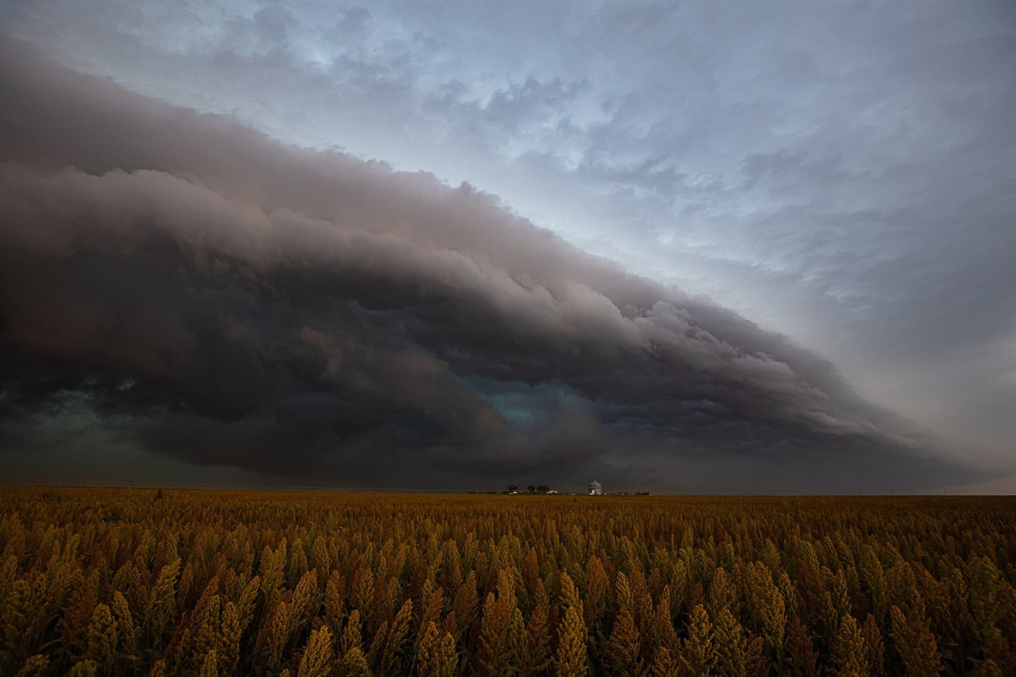 noticiaspuertosantacruz.com.ar - Imagen extraida de: https://news.agrofy.com.ar/noticia/209283/seguros-agricolas-y-clima-extremo-campo-casos-concretos-cuanto-cuesta-cubrir