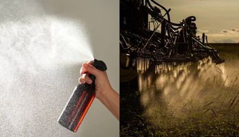 Amenaza invisible:  “Nos preocupan los agroquímicos, pero vivimos rodeados de químicos mucho más tóxicos que usamos a diario sin saberlo”
