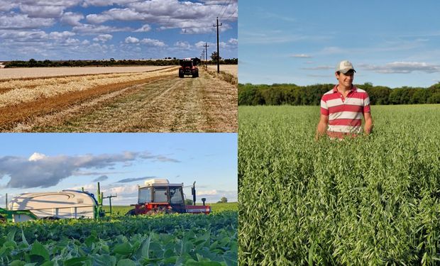 Cobran US$ 390 por la soja: ¿Es negocio sembrar en Uruguay? El testimonio que revela la realidad del campo vecino