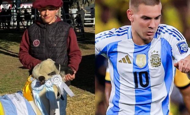 Quién es el "Mastantuono" de las ovejas: con 12 años gana campeonatos y se lleva la mirada de los criadores