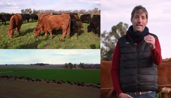 ¿Cómo manejar 180 animales en 60 hectáreas alquiladas?