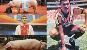 La familia de futbolistas que ahora cría "súper" cerdos