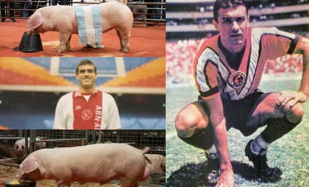La familia de futbolistas que ahora cría "súper" cerdos