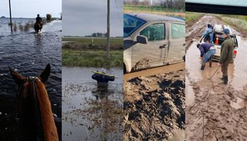 La zona rural que vive un desastre: "La depresión que me genera esta tormenta es infinita"
