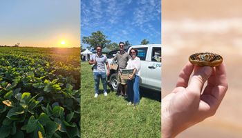 Los argentinos que conquistaron a Bill Gates con una solución para el agro