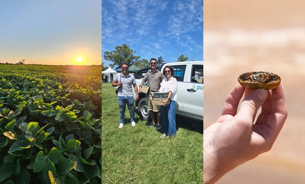 Los argentinos que conquistaron a Bill Gates con una solución para el agro