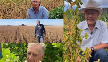 La historia de la soja contada por cuatro protagonistas principales del cultivo