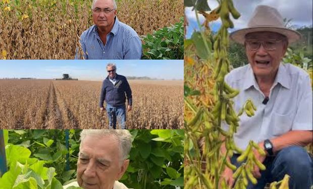 La historia de la soja contada por cuatro protagonistas principales del cultivo