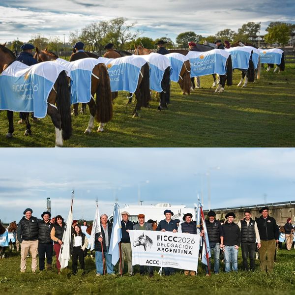 seleccion argentina de caballos criollos