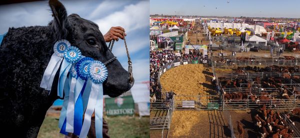 Agroactiva 2026