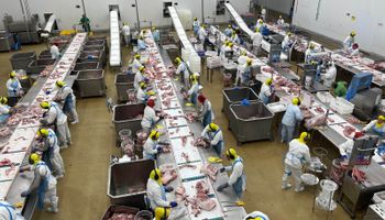 Suinco abre mercado para carne suína na África do Sul e amplia presença internacional