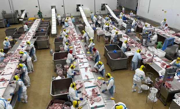 Suinco abre mercado para carne suína na África do Sul e amplia presença internacional