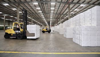 Mato Grosso do Sul prevê mais de R$ 70 bilhões em investimentos em celulose até 2028