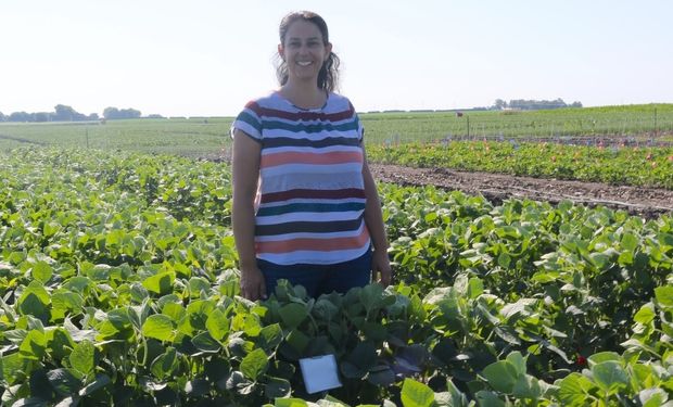 A cientista brasileira, Amanda de Souza, diz que objetivo da iniciativa é ampliar a oferta de alimentos em regiões vulneráveis do mundo. (foto - Ally Arp/Universidade de Illinois)