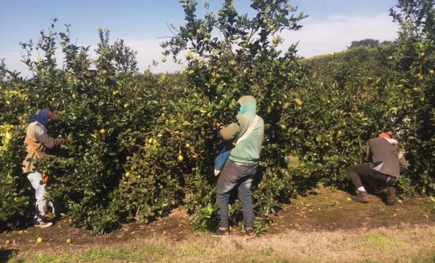 Un sector de los trabajadores rurales tendrá un aumento del 47 %