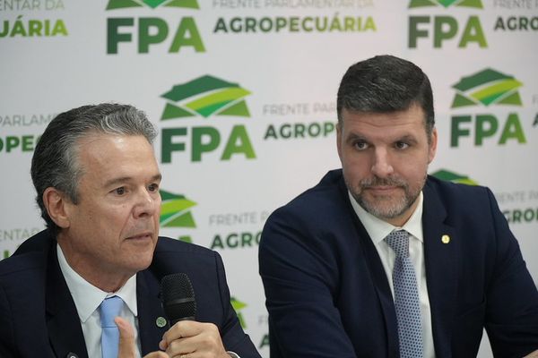 Reunião da FPA com ministro da Agricultura discute crédito rural e endividamento dos produtores