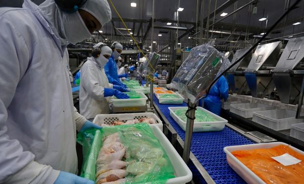 China extingue antidumping sobre carne de frango do Brasil