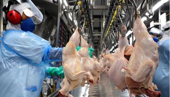 ABPA projeta resultado positivo para exportações de carne de frango em 2024