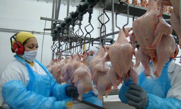 Malásia habilita quatro frigoríficos do Brasil para exportar carne de frango